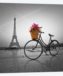 Paris VII