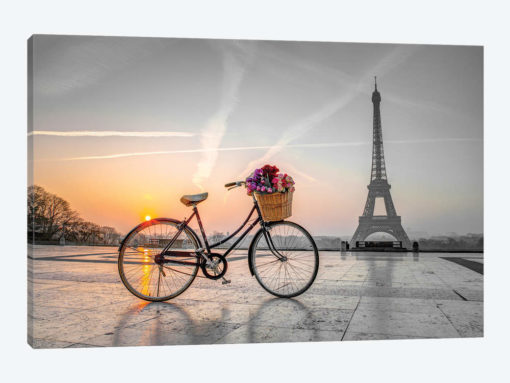 Paris IX
