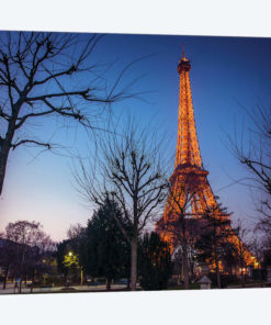 Paris X