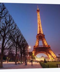 Paris XI