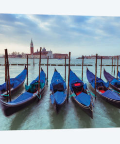 Venice VI