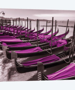 Venice VII