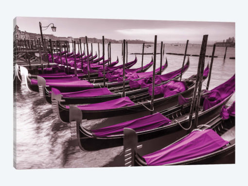 Venice VII