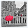 Venice VIII