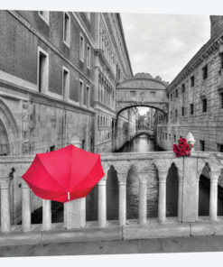 Venice VIII