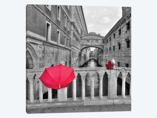 Venice VIII