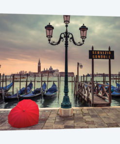 Venice X