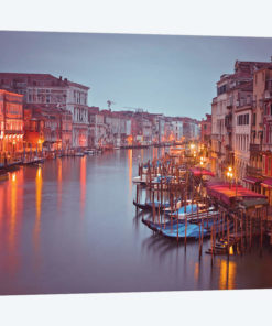 Venice XIV