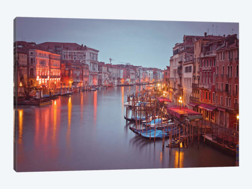 Venice XIV