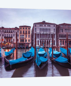 Venice XV