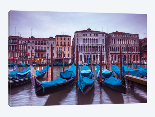 Venice XV