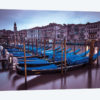 Venice XVI
