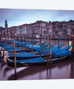 Venice XVI