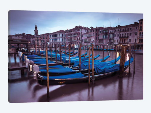 Venice XVI