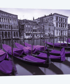 Venice XVII