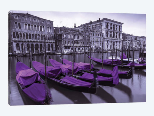 Venice XVII