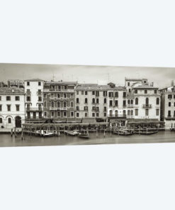 Venice XX