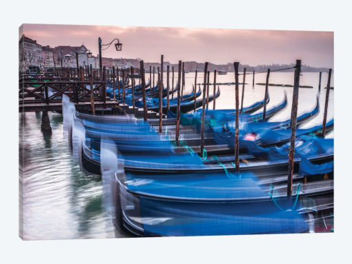 Venice XXV