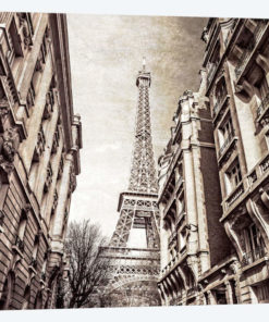 Looking Up