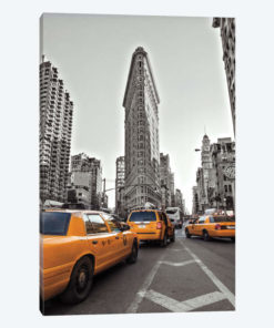 New York Taxis