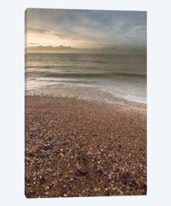 Pebble Shore