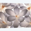 Petal Perfect
