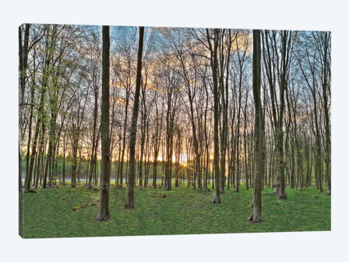 Secret Sunset