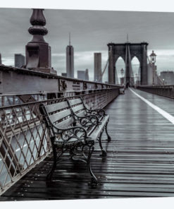 Bridge Beauty