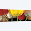 Sunshine Tulips