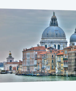 Venice Lately
