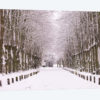 Winter's Aisle