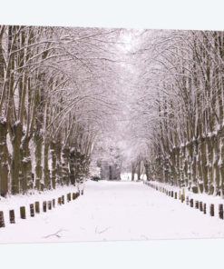 Winter's Aisle