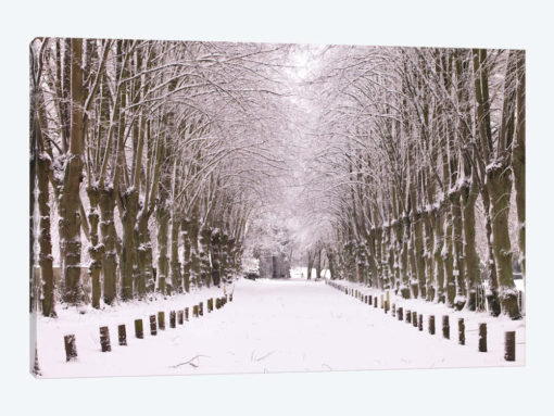 Winter's Aisle