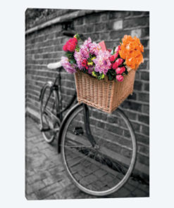 Basket Of Flowers II