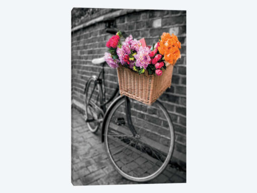 Basket Of Flowers II