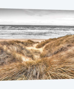 Beach Dunes