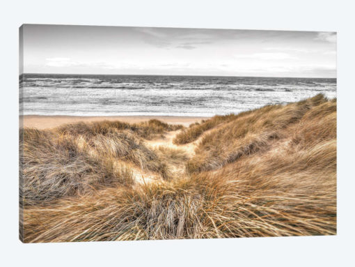 Beach Dunes