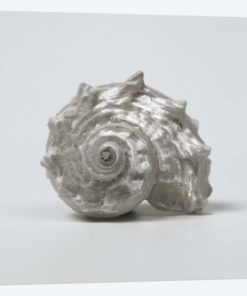 Beachside Treasure III