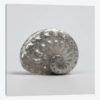 Beachside Treasure IV