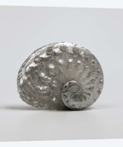 Beachside Treasure IV