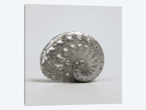 Beachside Treasure IV