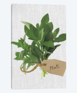 Mint