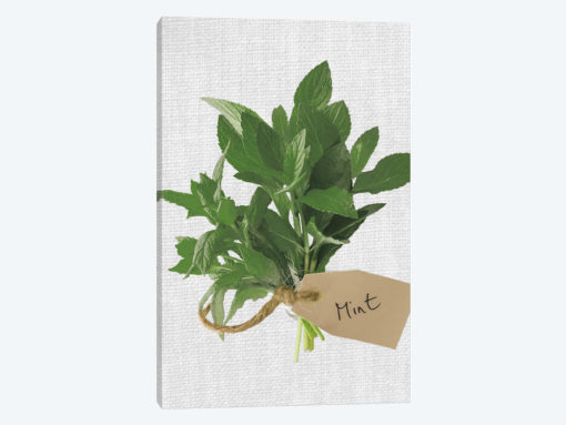 Mint