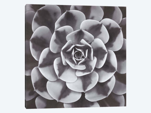 Natural Design III