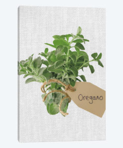Oregano