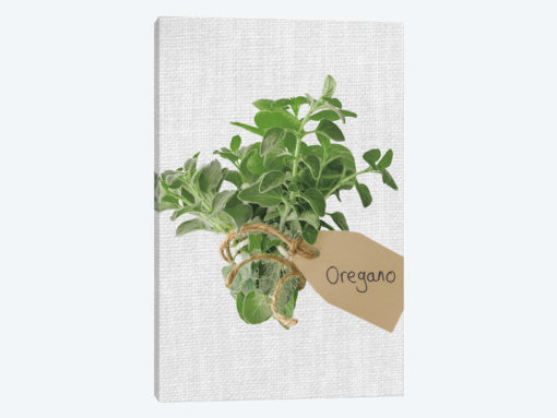 Oregano