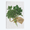 Parsley