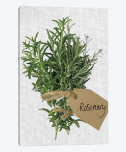 Rosemary