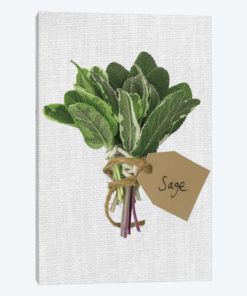 Sage