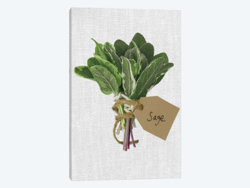 Sage